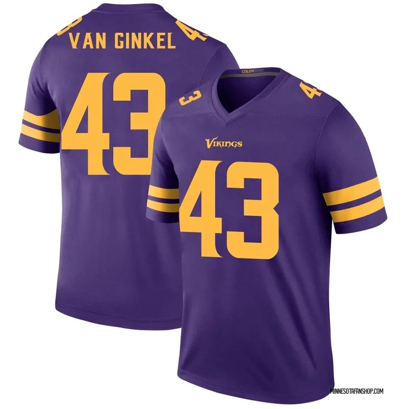 Purple Men's Andrew Van Ginkel Minnesota Vikings Legend Color Rush Jersey